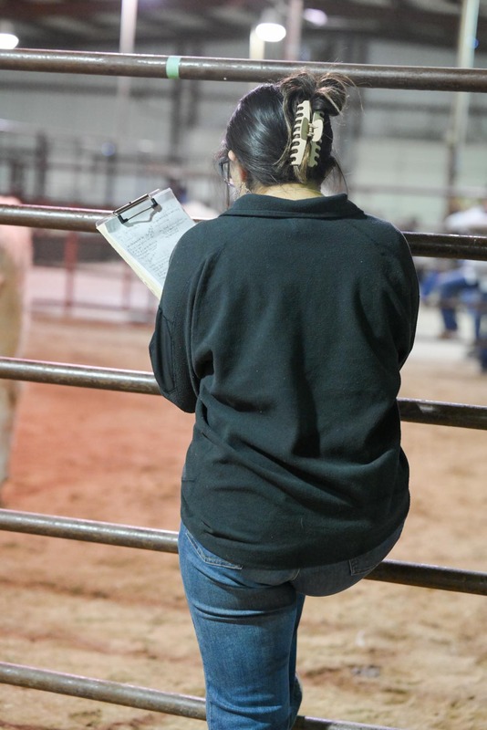 26GS-LivestockJudging-9739.jpg