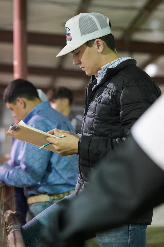 26GS-LivestockJudging-9741.jpg
