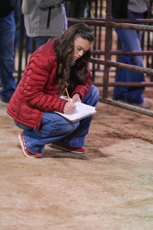 26GS-LivestockJudging-9743.jpg