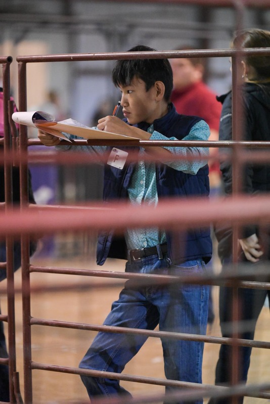 26GS-LivestockJudging-9750.jpg