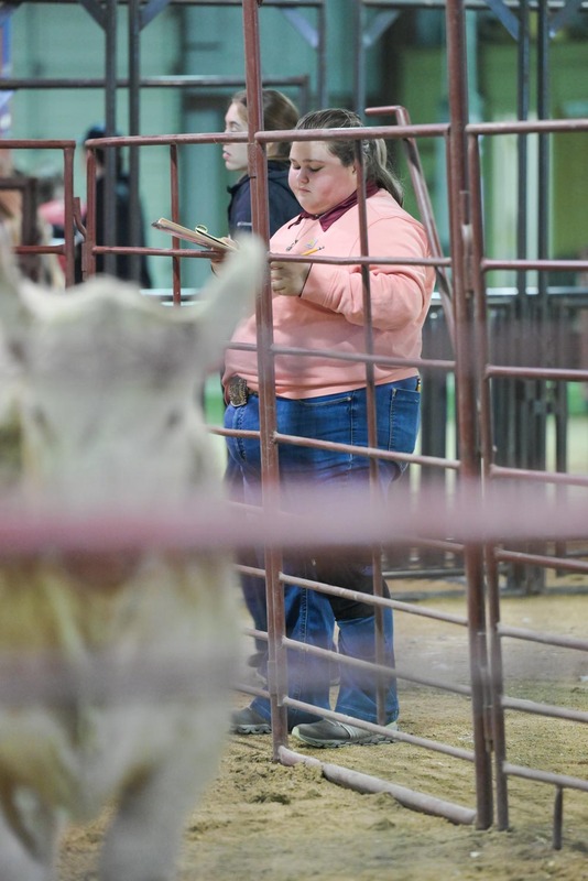 26GS-LivestockJudging-9752.jpg