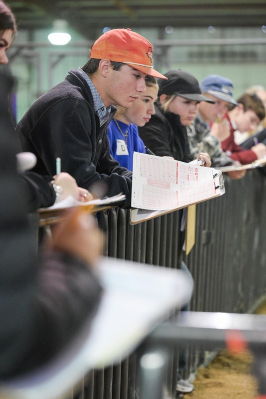 26GS-LivestockJudging-9759.jpg