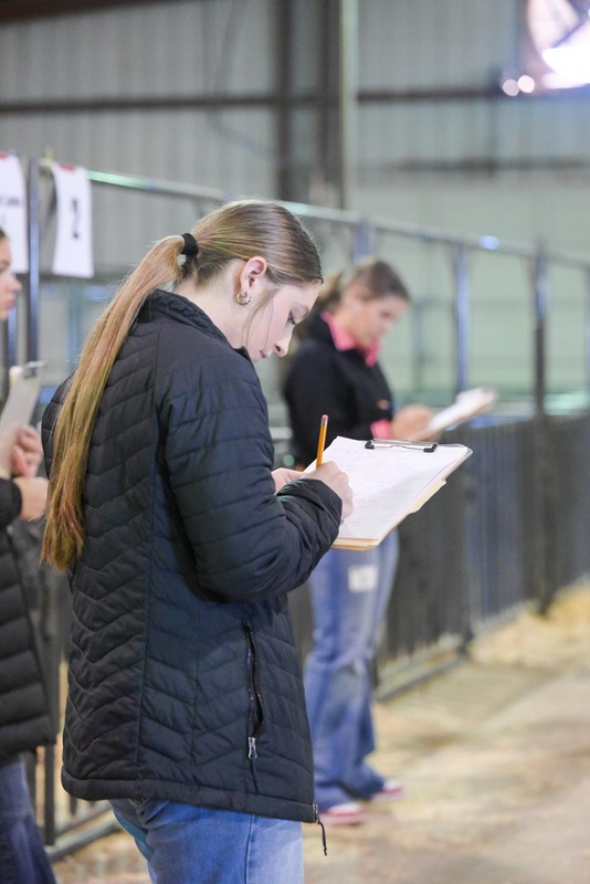 26GS-LivestockJudging-9769.jpg