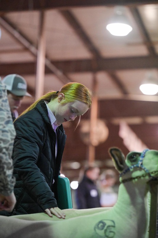 26GS-LivestockJudging-9773.jpg