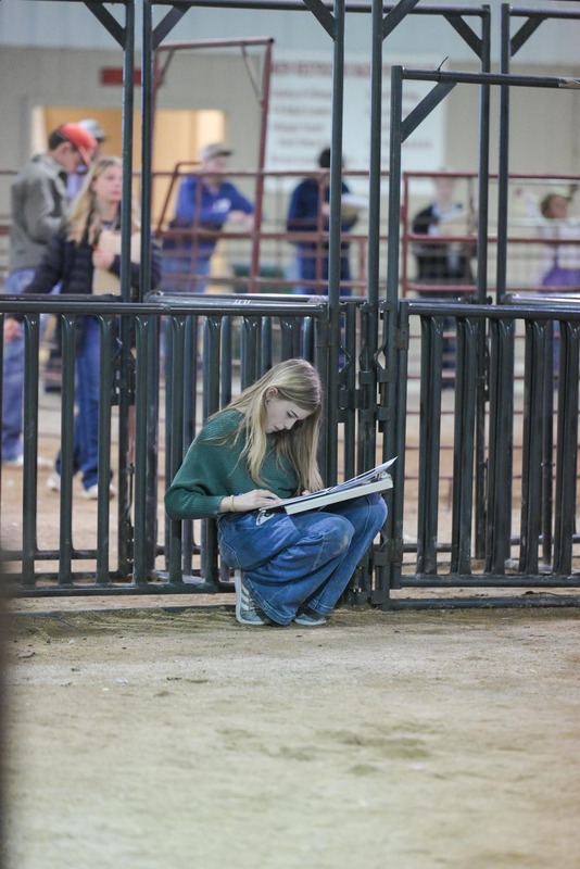 26GS-LivestockJudging-9790.jpg