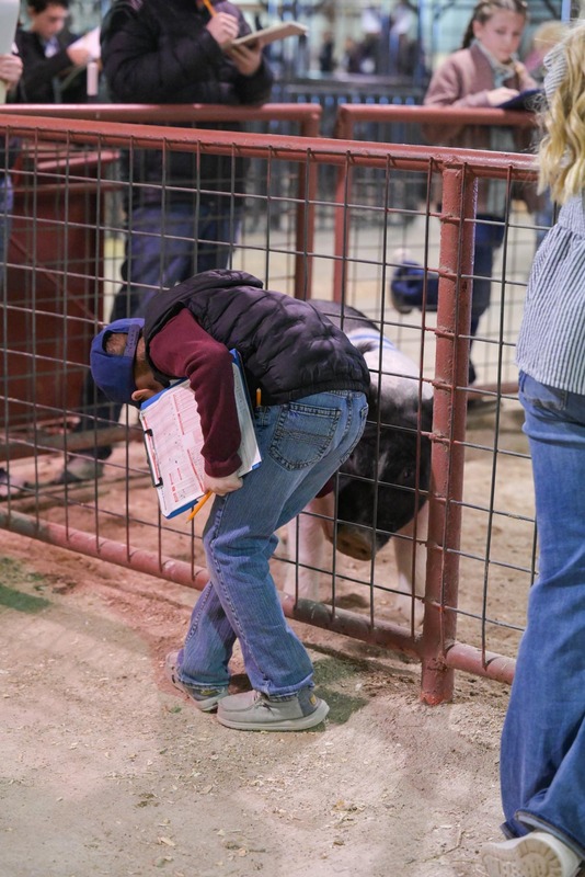 26GS-LivestockJudging-9793.jpg