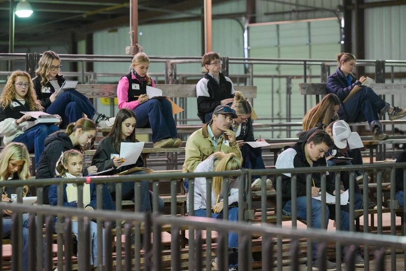 26GS-LivestockJudging-9795.jpg