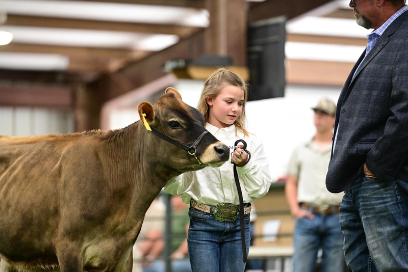 26KC-HeiferHS-5872.jpg