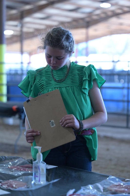 26RA- SwineSkillHS-4046.jpg