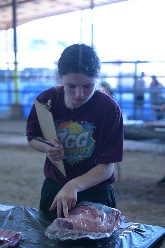 26RA- SwineSkillHS-4047.jpg