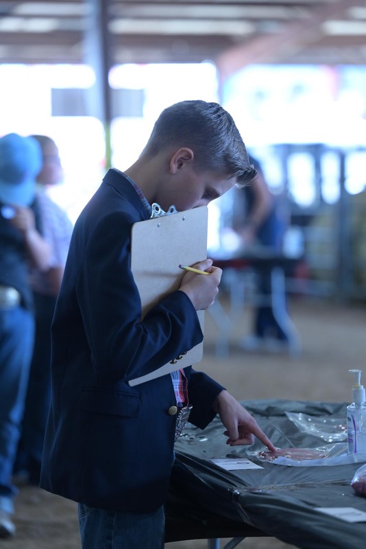 26RA- SwineSkillHS-4049.jpg