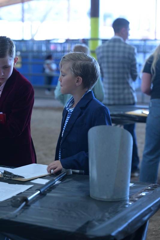 26RA- SwineSkillHS-4053.jpg