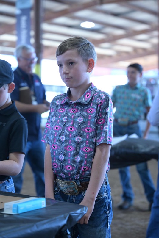 26RA- SwineSkillHS-4070.jpg