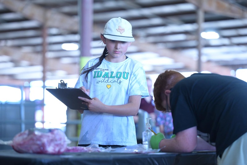 26RA- SwineSkillHS-4091.jpg