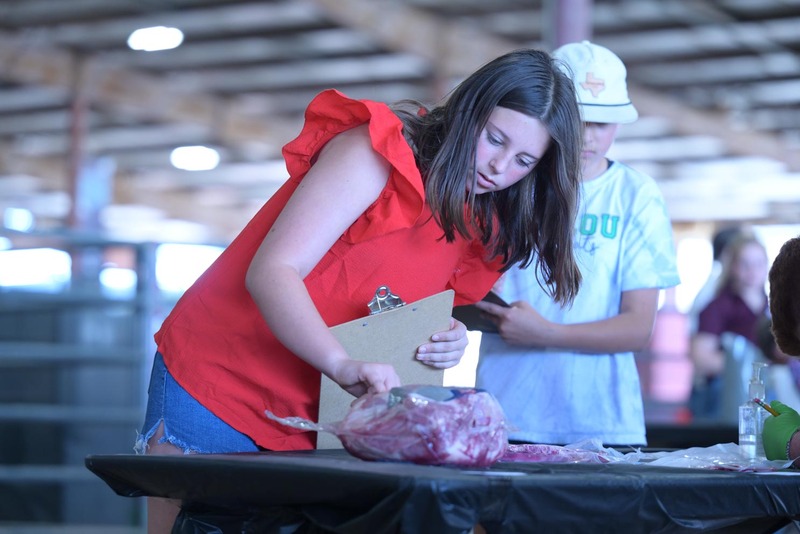 26RA- SwineSkillHS-4092.jpg