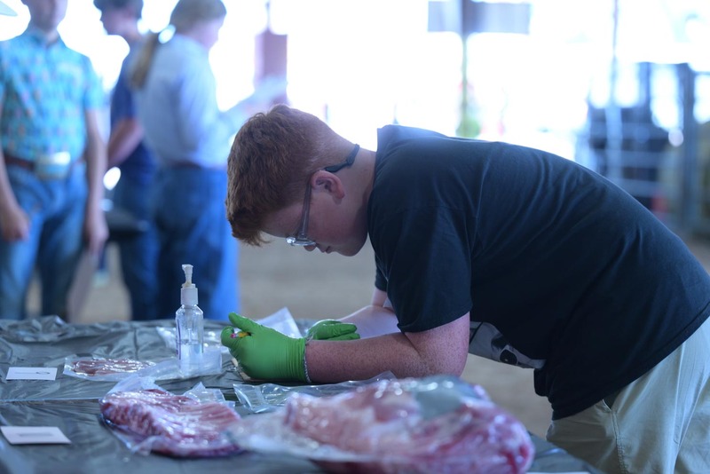 26RA- SwineSkillHS-4093.jpg