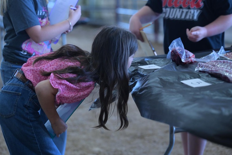 26RA- SwineSkillHS-4098.jpg