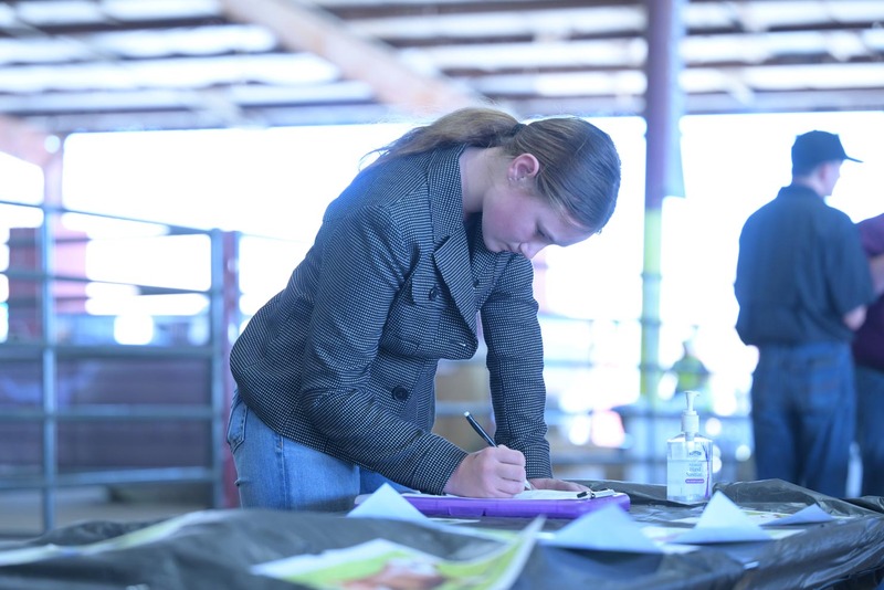 26RA- SwineSkillHS-4106.jpg