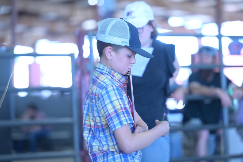 26RA- SwineSkillHS-4108.jpg