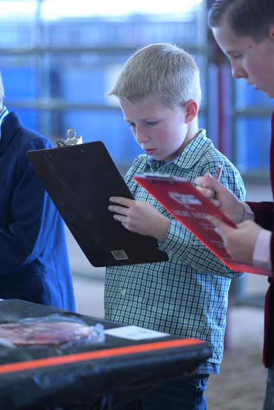 26RA- SwineSkillHS-4129.jpg