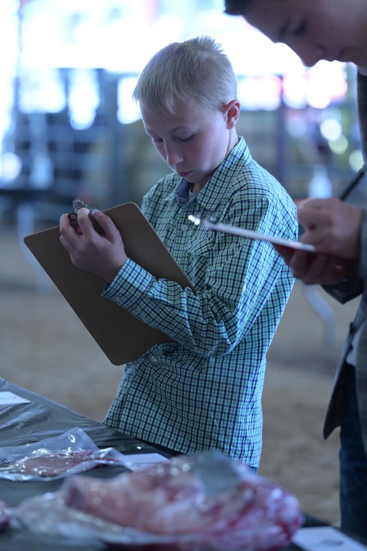 26RA- SwineSkillHS-4132.jpg