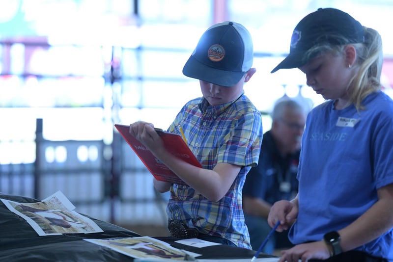 26RA- SwineSkillHS-4145.jpg