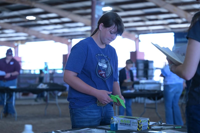 26RA- SwineSkillHS-4154.jpg