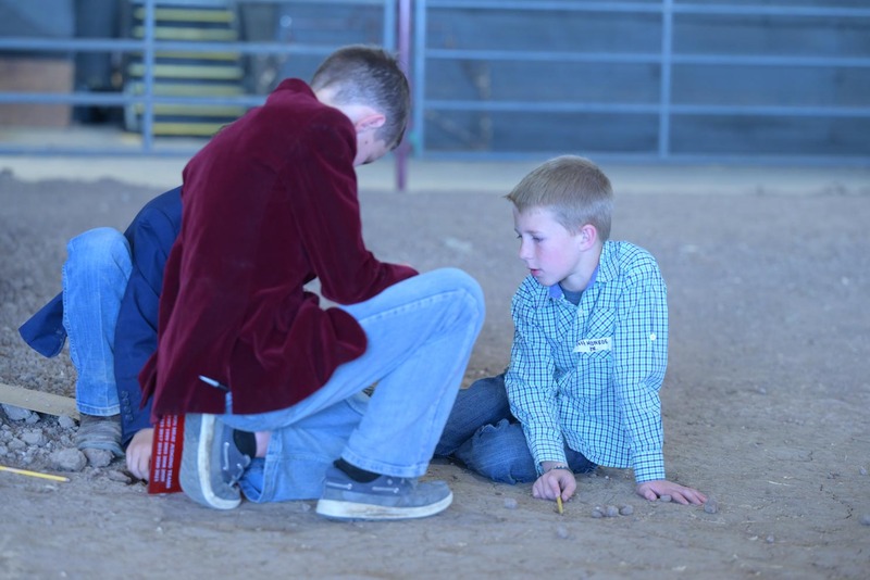 26RA- SwineSkillHS-4159.jpg