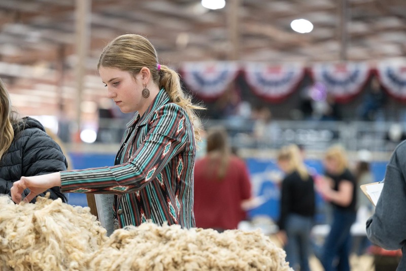 26RA-SheepSkillHS-2015.jpg
