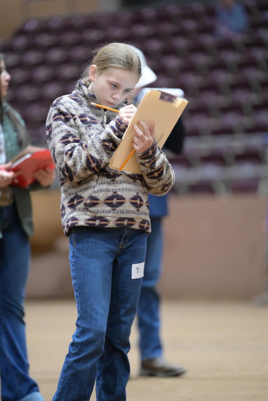 26SA-LivestockJudging-0153.jpg