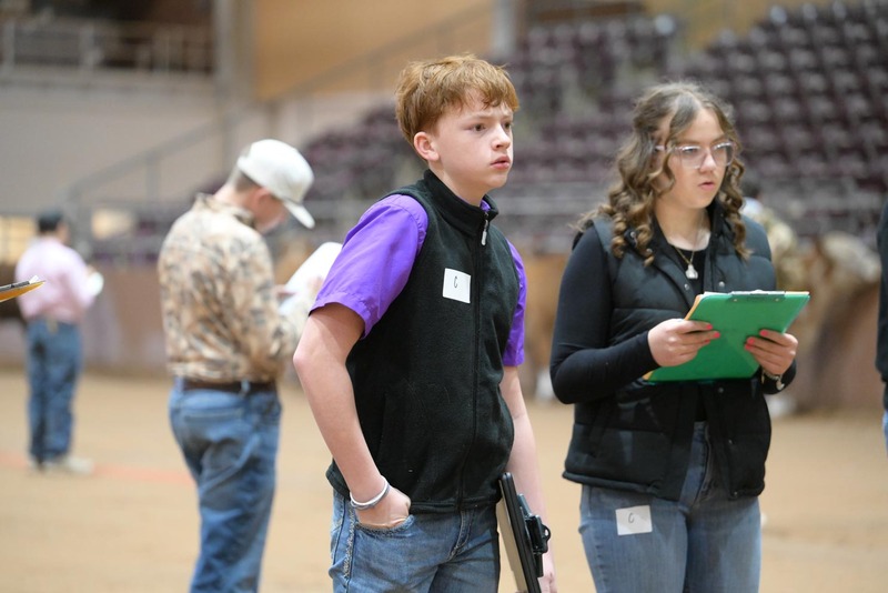 26SA-LivestockJudging-0155.jpg