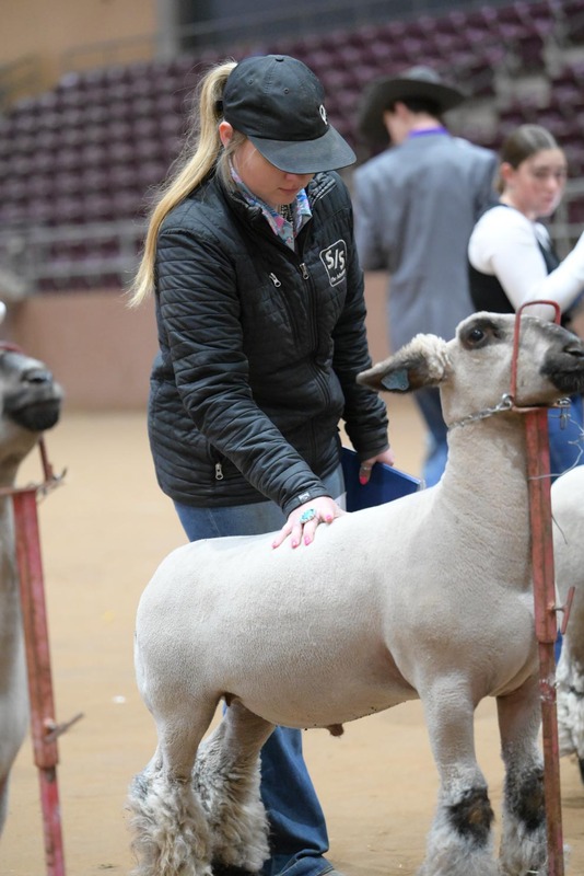 26SA-LivestockJudging-0158.jpg