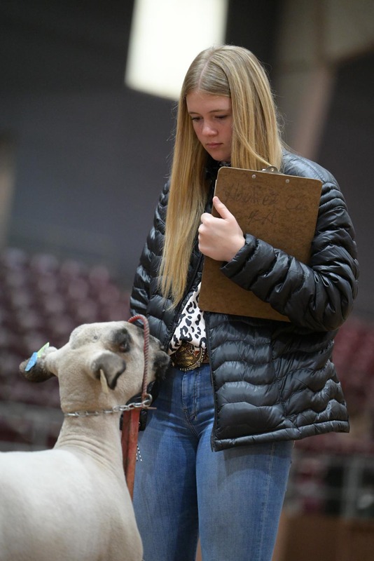 26SA-LivestockJudging-0176.jpg