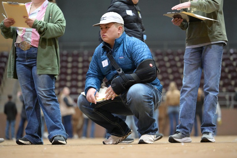 26SA-LivestockJudging-0181.jpg
