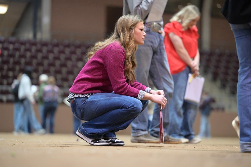 26SA-LivestockJudging-0193.jpg
