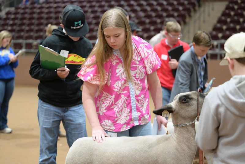 26SA-LivestockJudging-0214.jpg