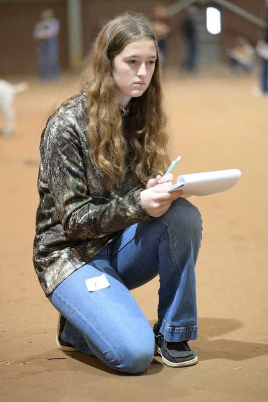 26SA-LivestockJudging-0305.jpg