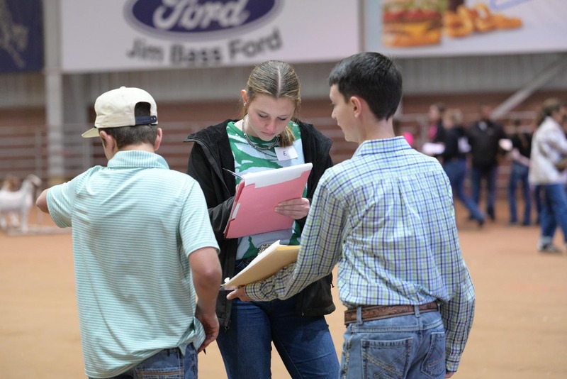 26SA-LivestockJudging-0426.jpg
