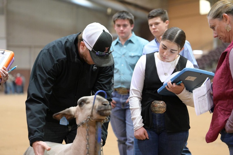 26SA-LivestockJudging-0441.jpg