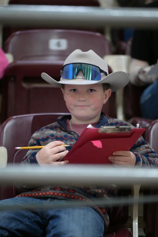 26SA-LivestockJudging-4566.jpg