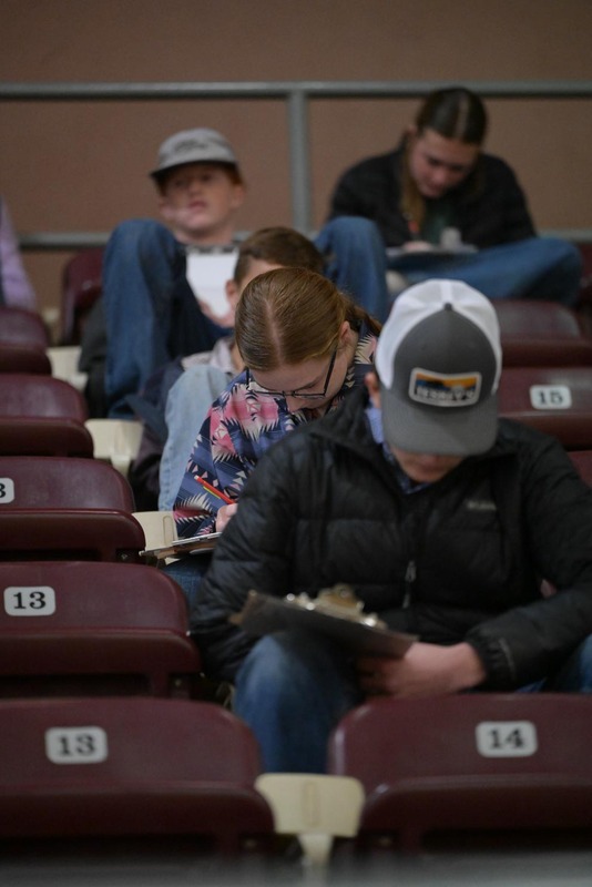 26SA-LivestockJudging-4590.jpg