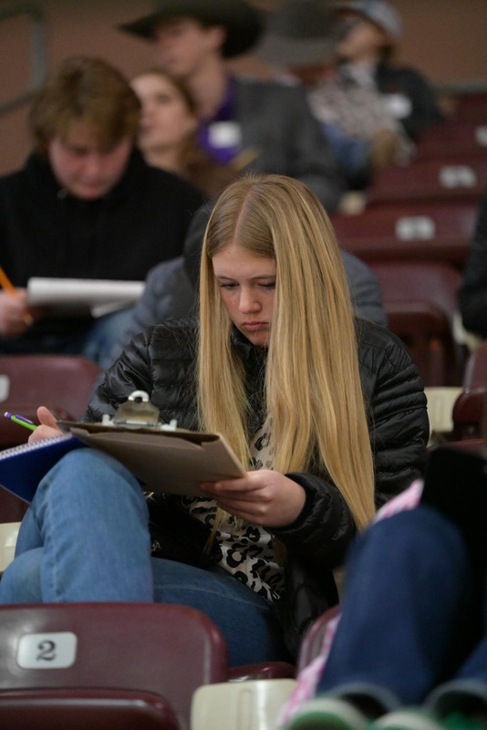 26SA-LivestockJudging-4608.jpg