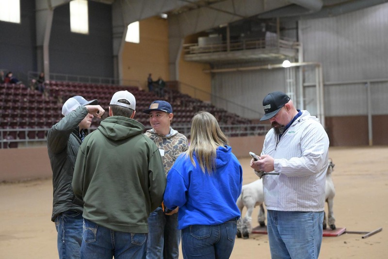 26SA-LivestockJudging-4637.jpg