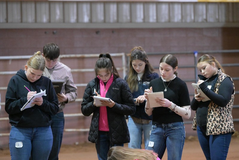 26SA-LivestockJudging-4639.jpg