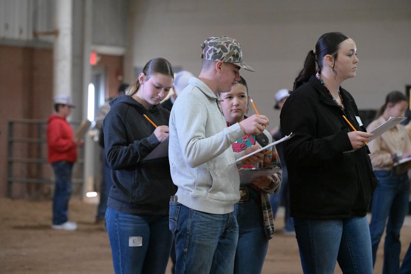 26SA-LivestockJudging-4646.jpg