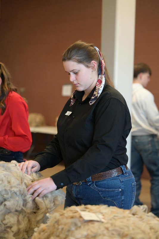 26SA-WoolJudging-4249.jpg