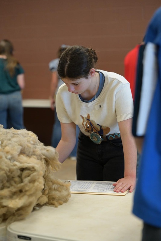 26SA-WoolJudging-4251.jpg