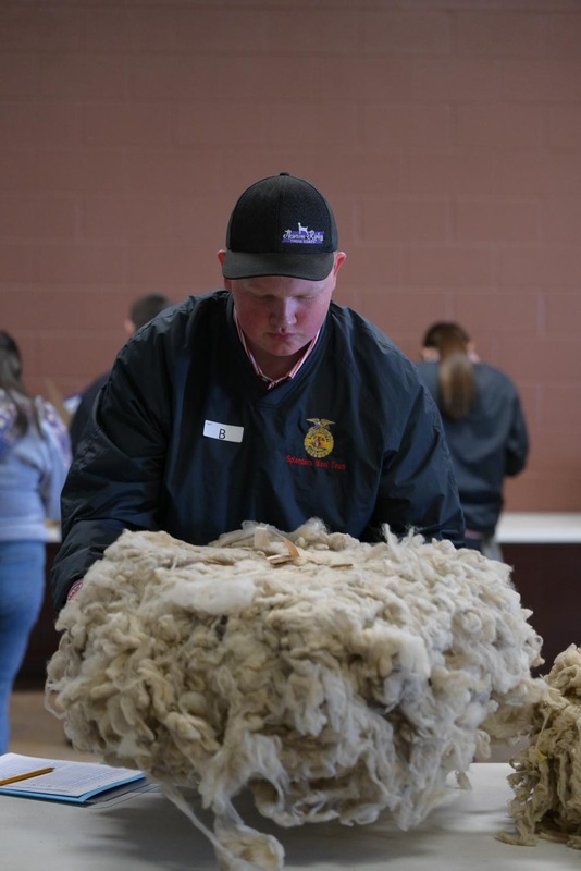 26SA-WoolJudging-4256.jpg