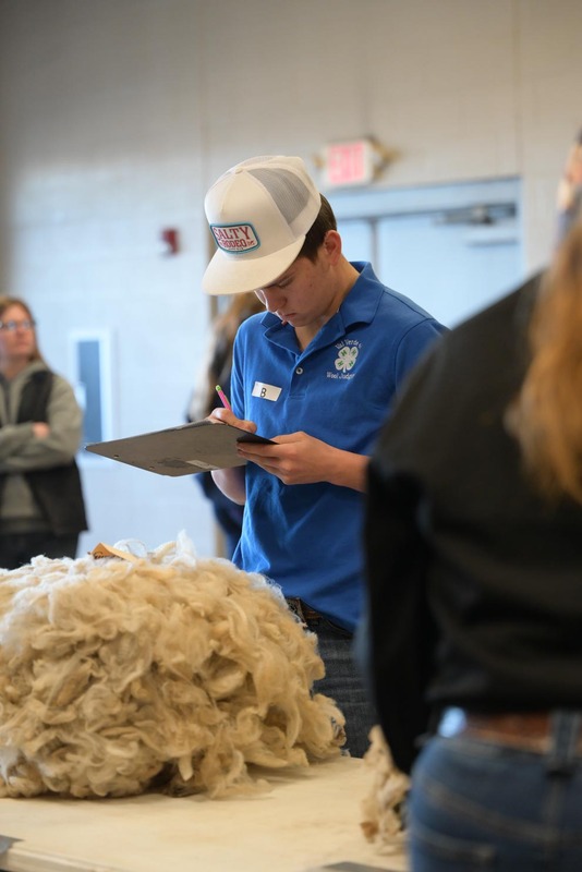 26SA-WoolJudging-4258.jpg