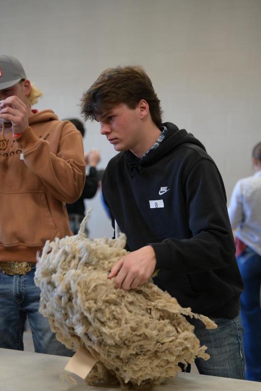 26SA-WoolJudging-4259.jpg